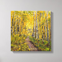Aspen-Bäume im Herbst