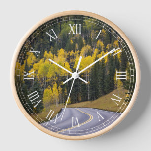 Aspen-Bäume im Norden von Arizona Uhr
