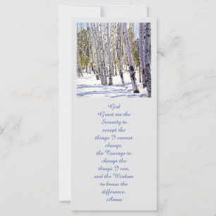 Aspen Bäume im Wald