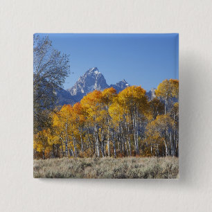 Aspen Bäume mit dem Teton-Gebirge Button