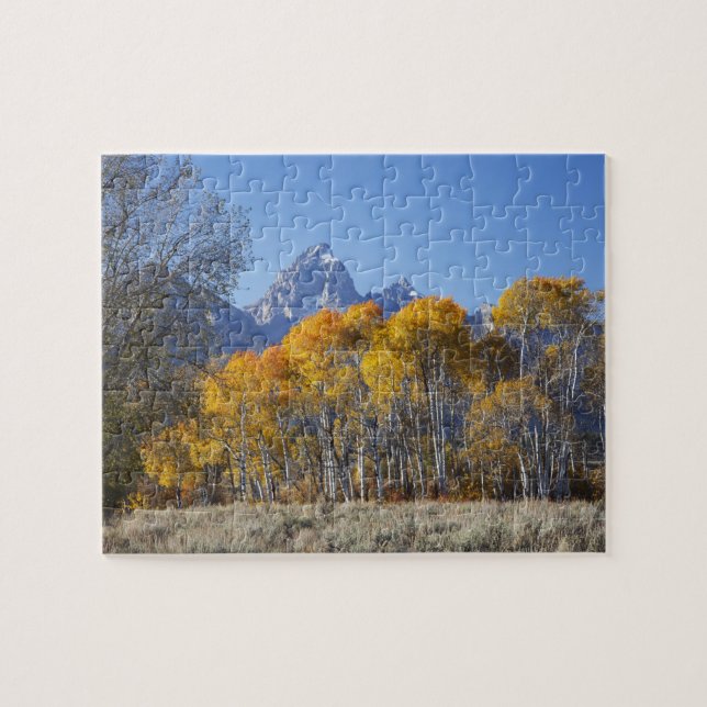 Aspen Bäume mit dem Teton-Gebirge Puzzle (Horizontal)