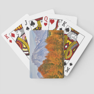 Aspen Bäume mit dem Teton-Gebirge Spielkarten