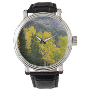Aspen-Bäume (Populus Tremuloides) und Nadelbäume Armbanduhr