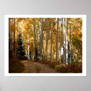 Aspen-Bäume Poster