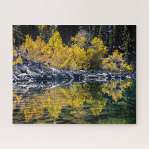 Aspen Beauty am Sherwin Lake, CA Puzzle