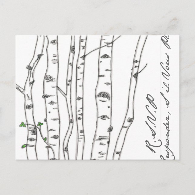 Aspen Birch Tree Grove UAWG Postcard Einladungspostkarte (Vorderseite)
