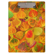 Aspen Blätter Collage Solid Medley 1