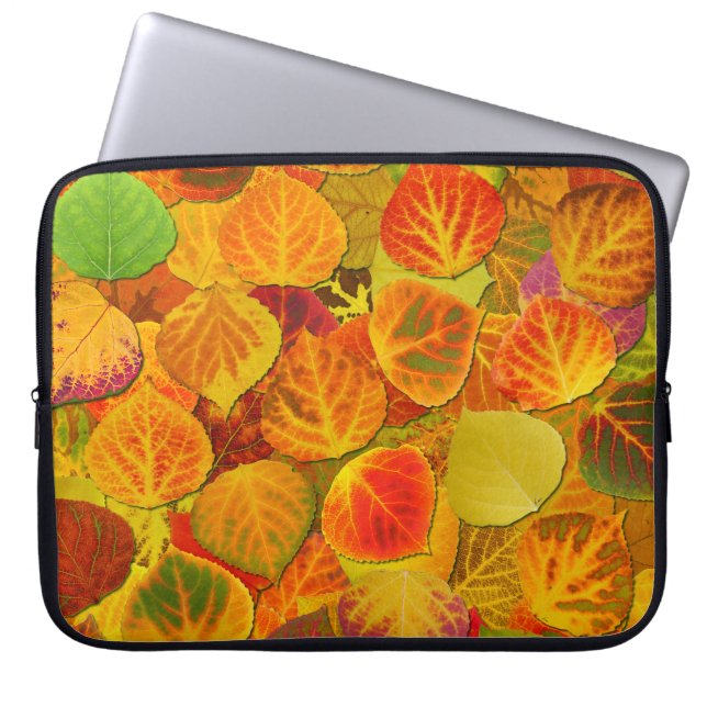 Aspen Blätter Collage Solid Medley 1 Laptopschutzhülle (Vorderseite)