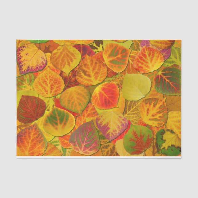 Aspen Blätter Collage Solid Medley 1 Seidenpapier (Vorderseite)