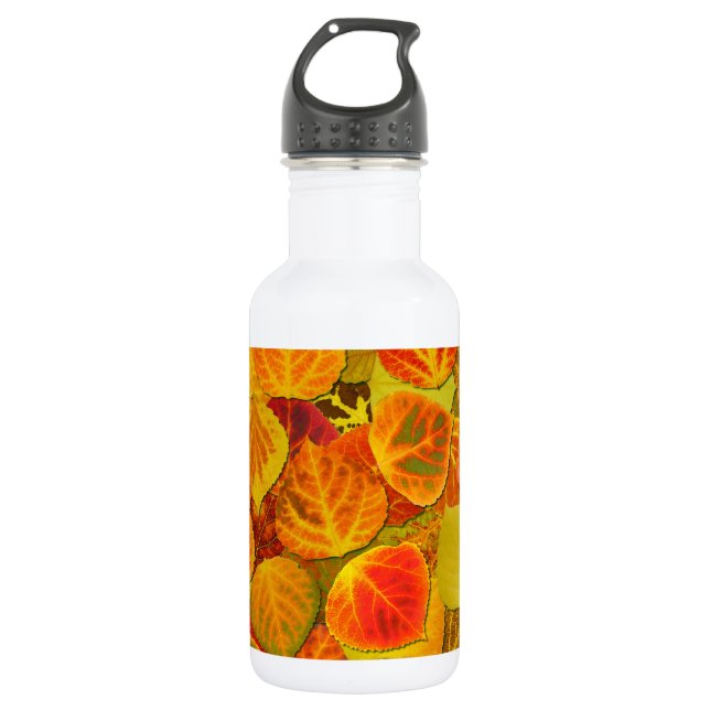 Aspen Blätter Collage Solid Medley 1 Trinkflasche (Vorderseite)