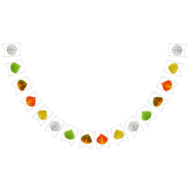 Aspen Blätter Medley Wimpelkette (Alle)