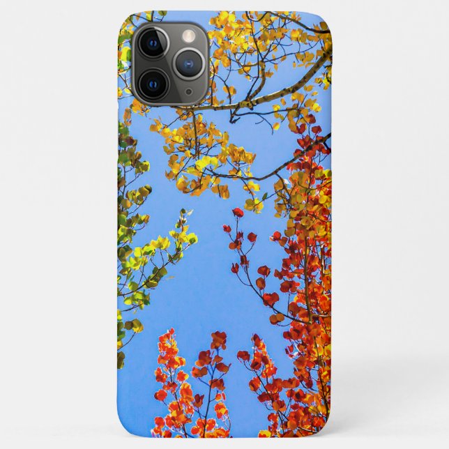 Aspen Colour Candy // Fall Leaf Farben Case-Mate iPhone Hülle (Rückseite)