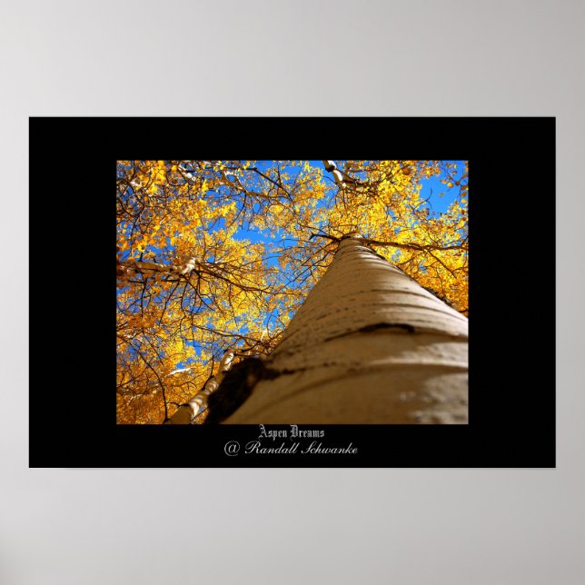 Aspen Dreams Poster (Vorne)