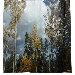 Aspen-Duschvorhang Duschvorhang