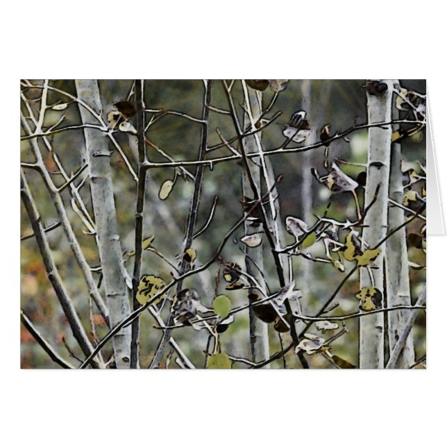 Aspen Forest (Vorderseite (Horizontal))