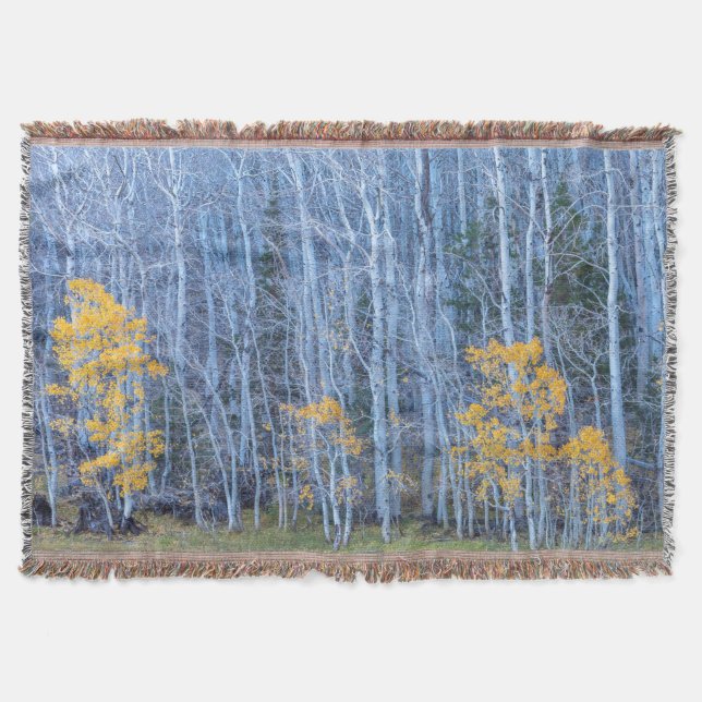 Aspen Forest Decke (Vorderseite)