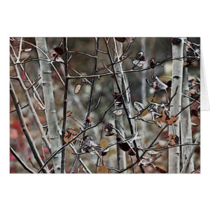 Aspen Forest Ende Herbst