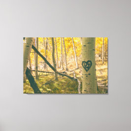 Aspen Forest im Herbst Leinwanddruck