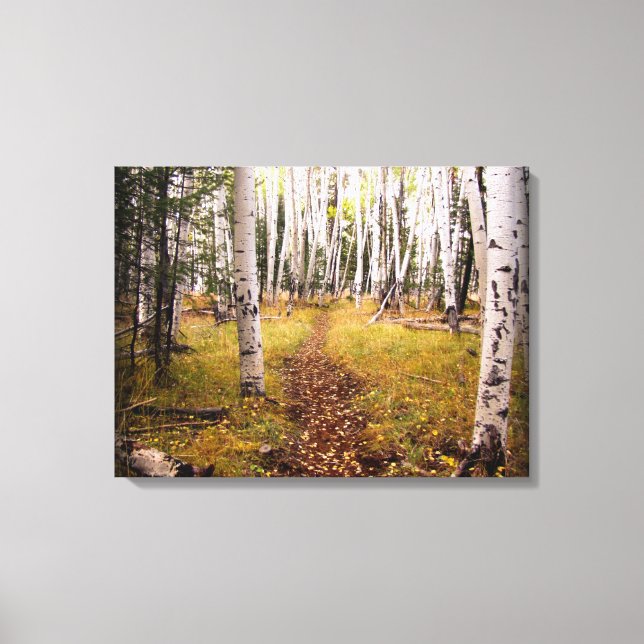 Aspen Forest im Herbst Leinwanddruck (Vorderseite)