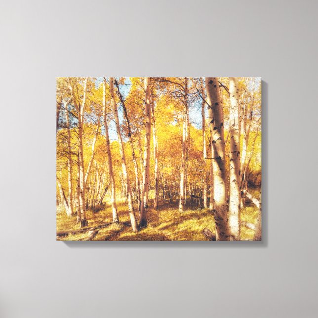Aspen Forest in lebendigen Herbstfarben Leinwanddruck (Vorderseite)