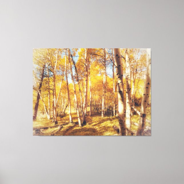 Aspen Forest in lebendigen Herbstfarben Leinwanddruck (Vorderseite)