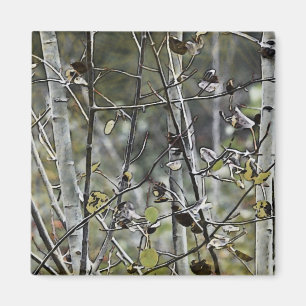 Aspen Forest Magnet