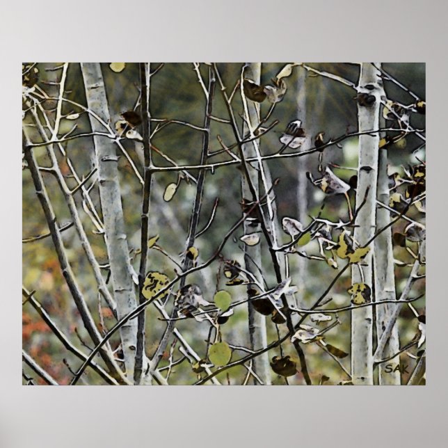 Aspen Forest Poster (Vorne)
