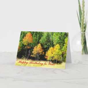 Aspen-Geburtstags-Karte Karte