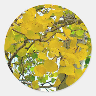Aspen Gold Siegel! Runder Aufkleber