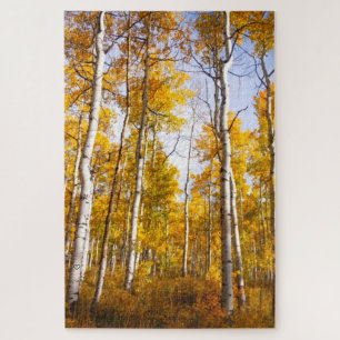 Aspen Groove Gelb Herbstlaub Puzzle