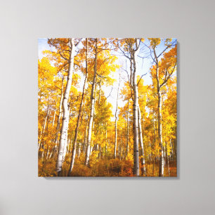Aspen Groove Yellow Herbstlaube Leinwanddruck