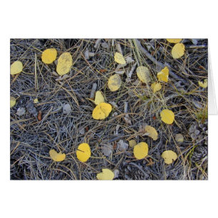 Aspen Ground II-Karte