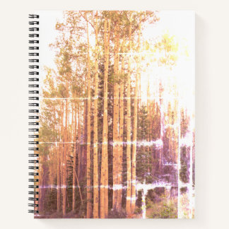 Aspen Grove Notizbuch