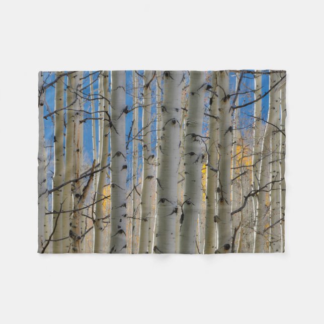 Aspen Groves | Colorado Rocky Mountains Fleecedecke (Vorderseite (Horizontal))
