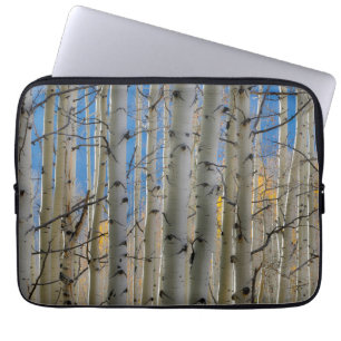 Aspen Groves Colorado Rocky Mountains Laptopschutzhülle