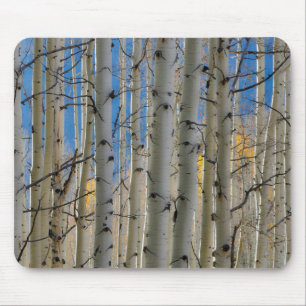 Aspen Groves Colorado Rocky Mountains Mousepad