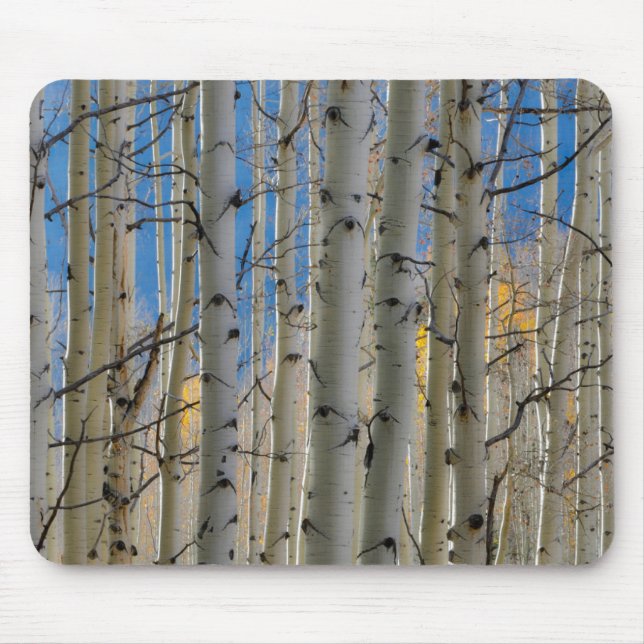 Aspen Groves | Colorado Rocky Mountains Mousepad (Vorne)