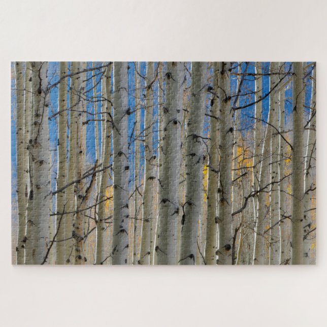 Aspen Groves | Colorado Rocky Mountains Puzzle (Horizontal)
