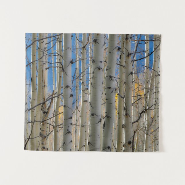 Aspen Groves | Colorado Rocky Mountains Wandteppich (Vorderseite (Horizontal))