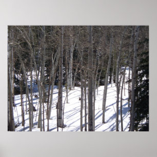 Aspen im Schnee Poster