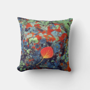 Aspen-Laub auf einem lichenbedeckten Felsen Kissen