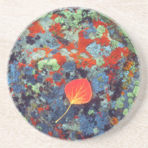 Aspen-Laub auf einem lichenbedeckten Felsen Untersetzer