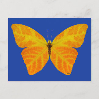 Aspen Leaf Butterfly 3 Postkarte