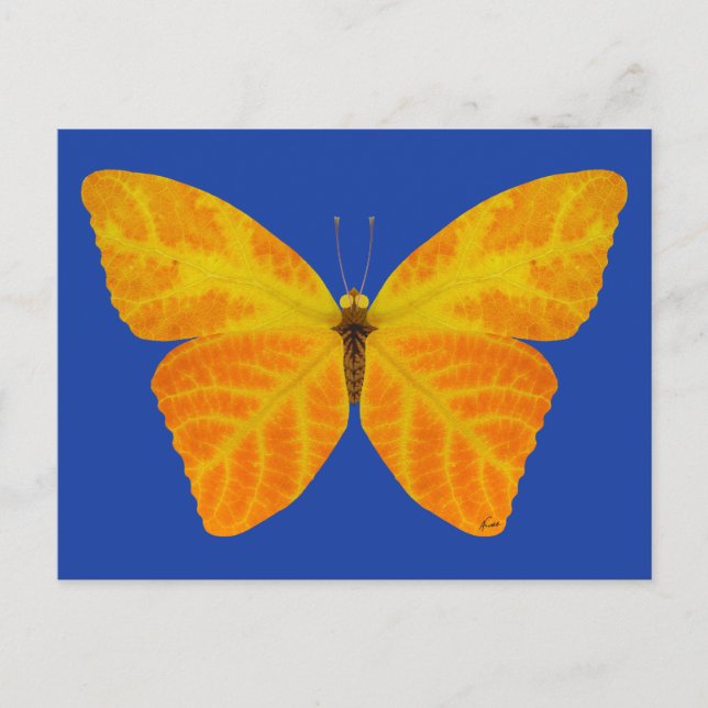 Aspen Leaf Butterfly 3 Postkarte (Vorderseite)