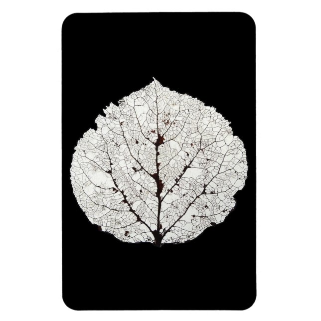 Aspen Leaf Skeleton 1 Magnet (Vertikal)