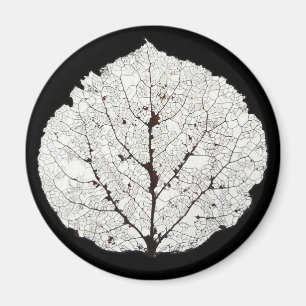 Aspen Leaf Skeleton 1 Magnet