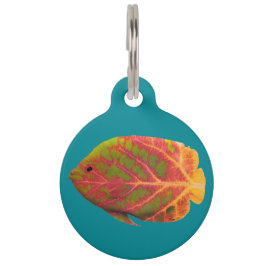 Aspen Leaf Tropische Fische 1 Haustiermarke