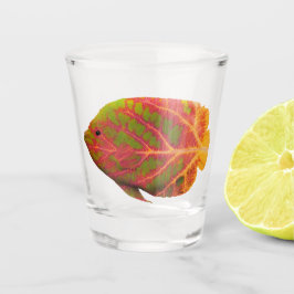 Aspen Leaf Tropische Fische 1 Schnapsglas