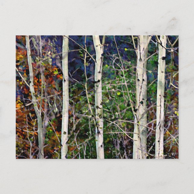 Aspen Postkarte (Vorderseite)