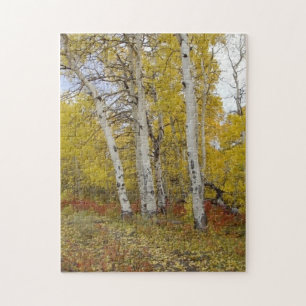 Aspen Splendor Nature Puzzle